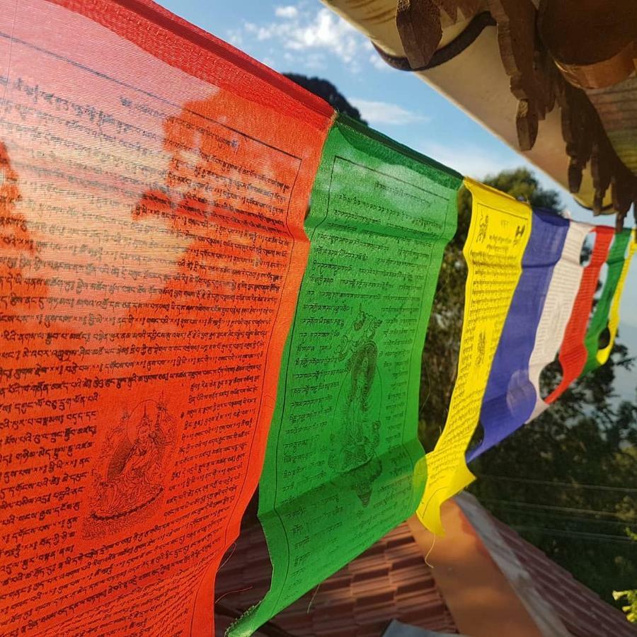 Dostel: Backpacker Hostel Kodaikanal Eksteriør billede